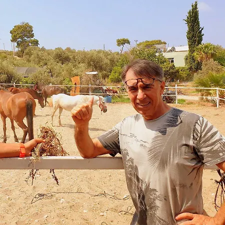 Caretta Ξενοδοχείο Πάταρα